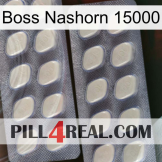 Boss Rhino 15000 07